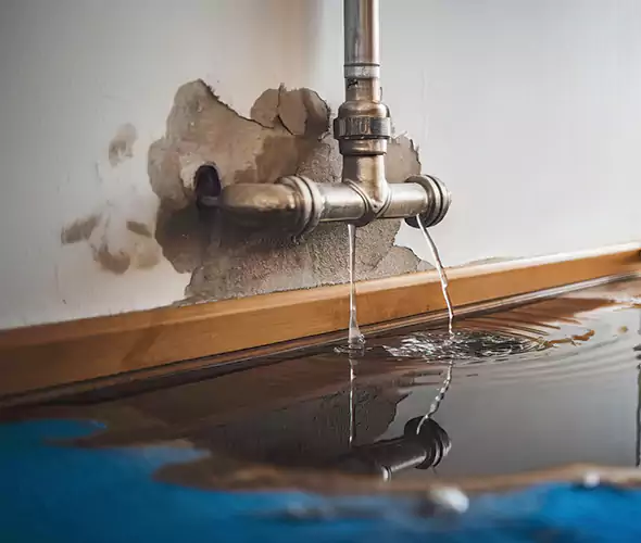 Professional Water Damage Restoration Experts in Fair Lawn, NJ — Fast, Reliable & Certified